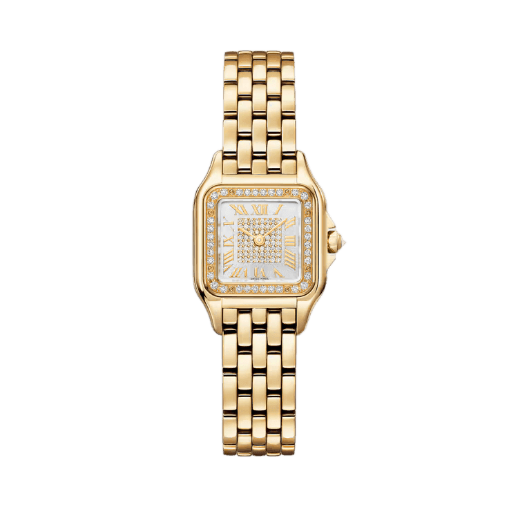 Panthère de Cartier-Cartier
