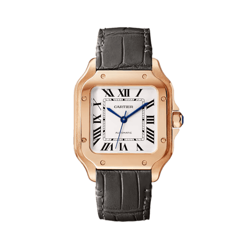 Cartier Santos de Cartier